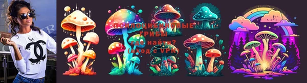 мдпв Балахна
