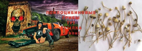 мдпв Балахна