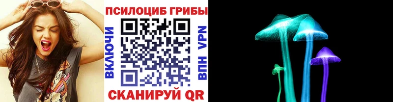 Галлюциногенные грибы MAGIC MUSHROOMS  дарнет шоп  Щёкино 